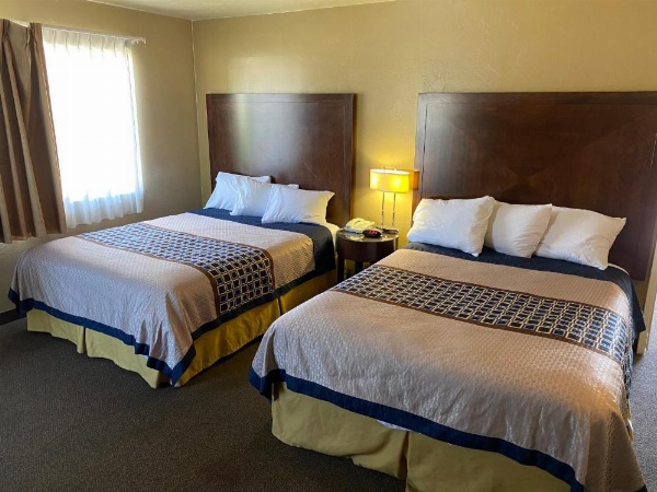 فندق فينو إن والأجنحة image 14