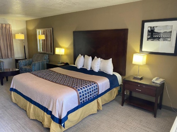 فندق فينو إن والأجنحة image 29