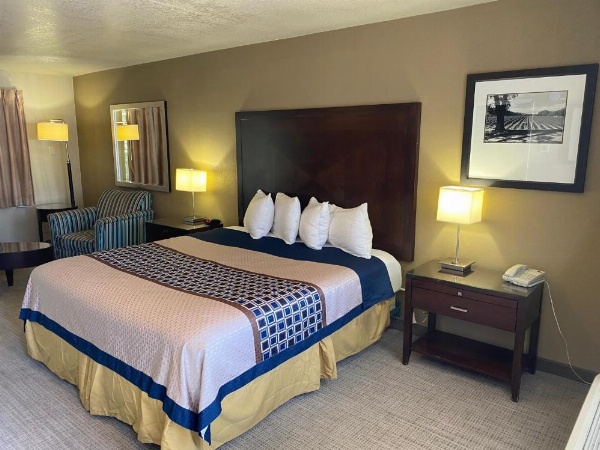 فندق فينو إن والأجنحة image 36